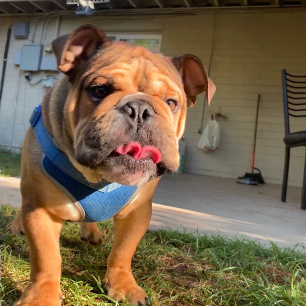 Meet your Posher, Eder